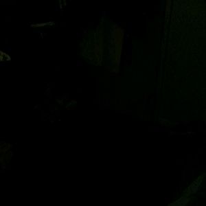 Meet your Posher, Ruth